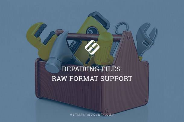 Repairing Files: RAW Format Support