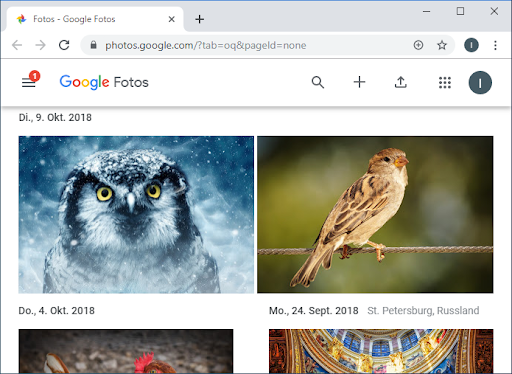 Google Fotos-App-Seite