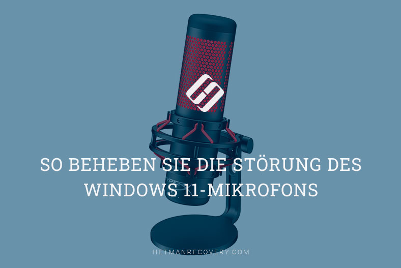 So beheben Sie die Störung des Windows 11 – Mikrofons