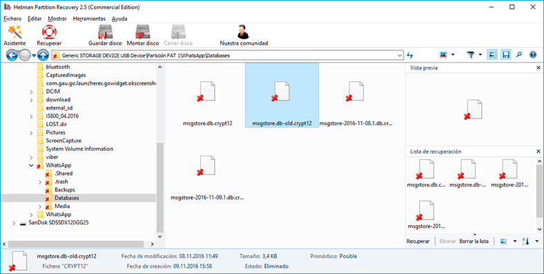 Hetman Partition Recovery