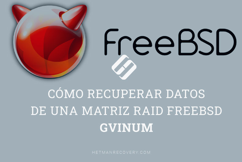 Cómo recuperar datos de una matriz RAID FreeBsd GVINUM