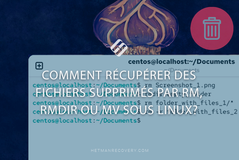 Comment récupérer des fichiers supprimés par rm, rmdir ou mv sous Linux? Comment récupérer des fichiers supprimés par rm, rmdir ou mv sous Linux?