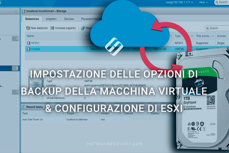 Impostazione delle opzioni di backup della macchina virtuale & configurazione di ESXi