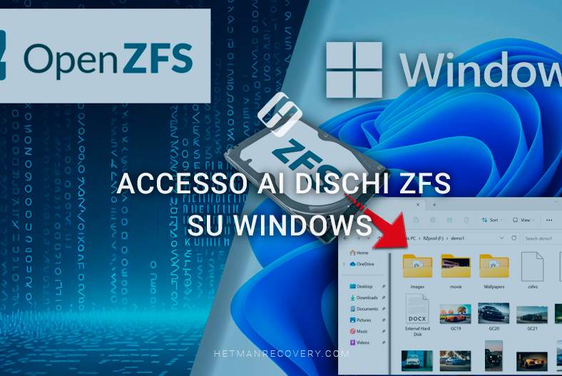 Accesso ai dischi ZFS su Windows: Guida completa