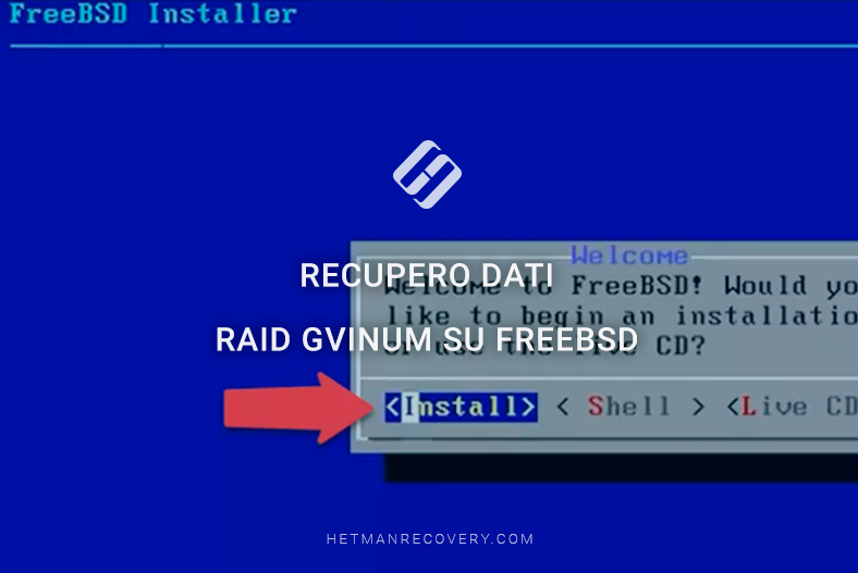Recupero dati RAID GVINUM su FreeBSD: guida passo dopo passo Recupero dati RAID GVINUM su FreeBSD: guida passo dopo passo