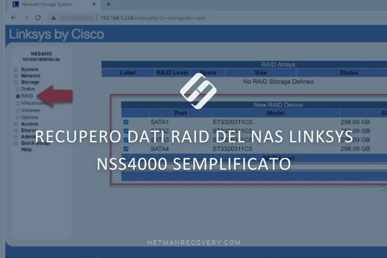 Recupero dati RAID del NAS Linksys NSS4000 semplificato: soluzioni senza sforzo per gli utenti Recupero dati RAID del NAS Linksys NSS4000 semplificato: soluzioni senza sforzo per gli utenti