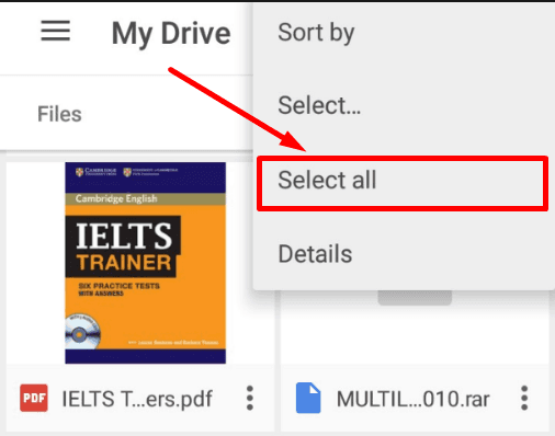 Google Drive App. Select all