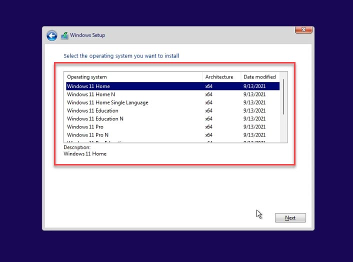 Select the version of the operating system, Windows 11