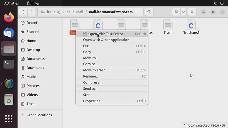 Open the inbox file in a text editor