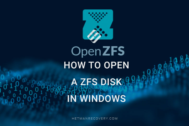 How to Open a ZFS Disk in Windows