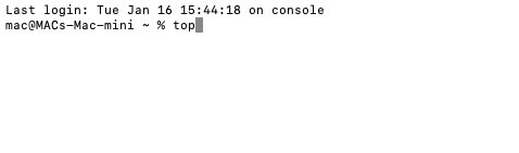 The top command: information about the system load