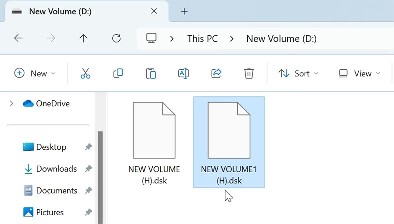 Disk image in .dsk format