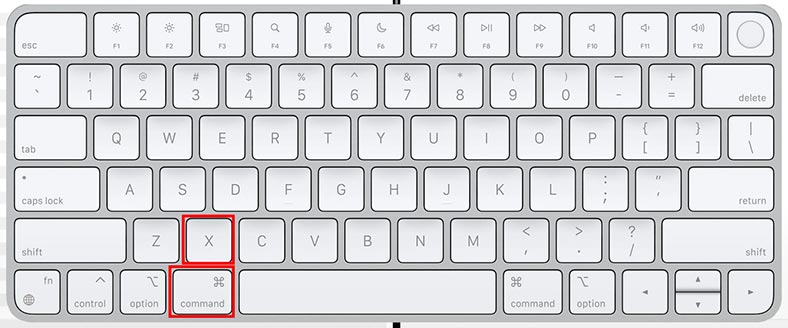 Command (⌘) + X