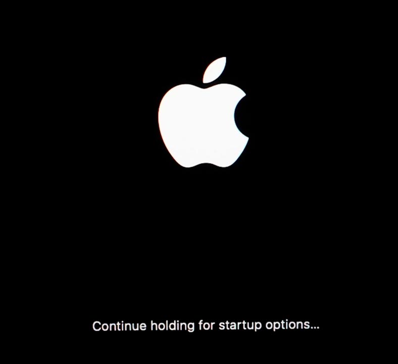Continue holding the power button for startup options