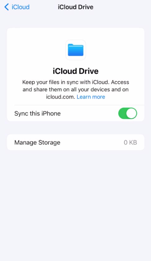 In the iCloud menu, make sure that the iCloud Drive option is enabled