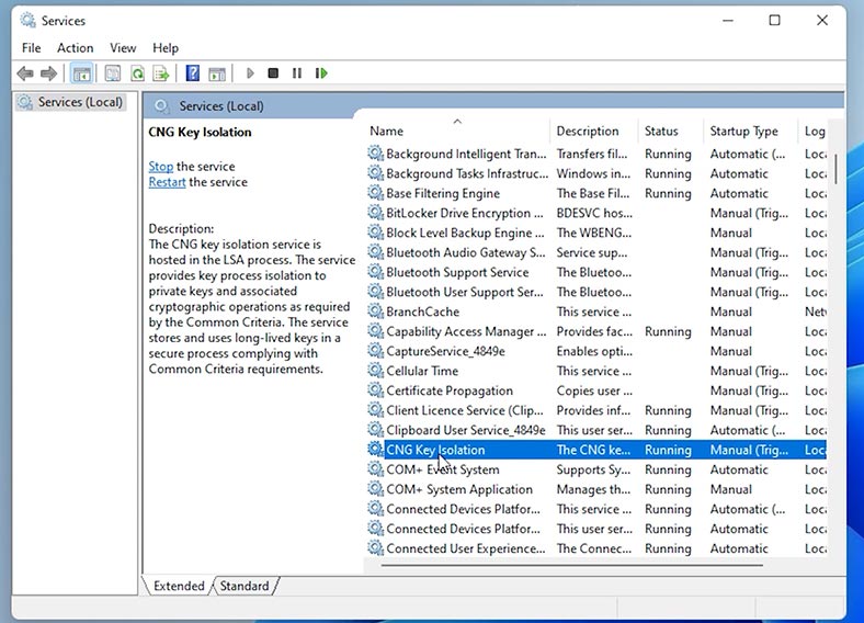 services.msc: CNG Key Isolation