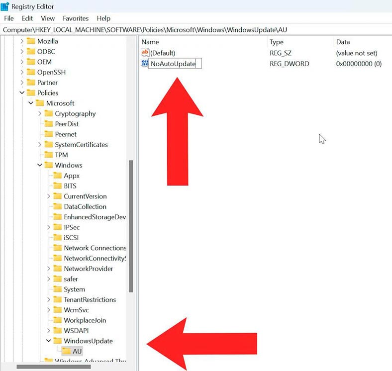 regedit: Computer\HKEY_LOCAL_MACHINE\SOFTWARE\Policies\Microsoft\Windows\WindowsUpdate\NoAutoUpdate