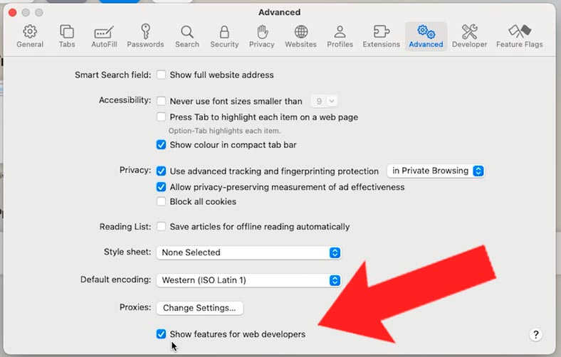 Safari: Показати функції для веб-розробників