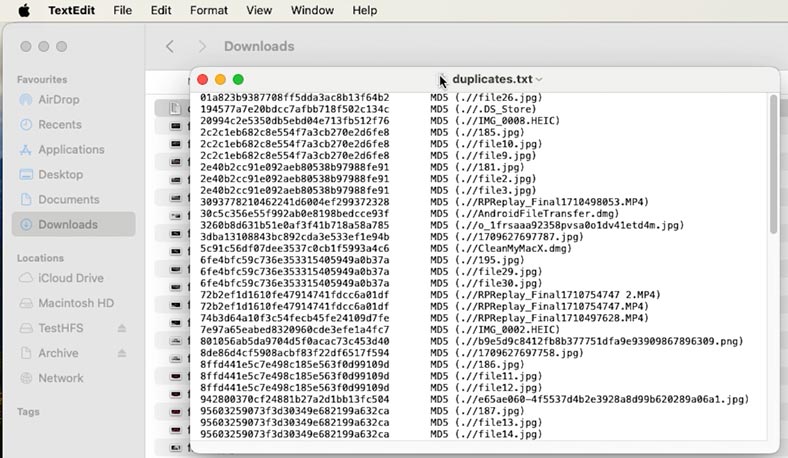 Fichier .txt avec une liste des fichiers en double dans le dossier