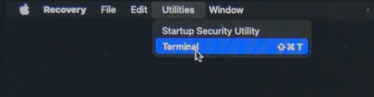 Después de cargar el Modo de recuperación, vaya al menú Utilidades - Terminal