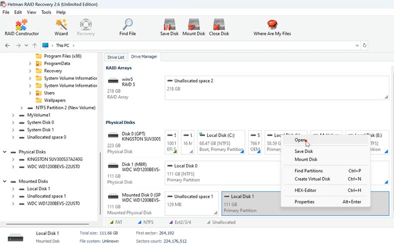 Hetman RAID Recovery: Disk-Image-Scan ausführen