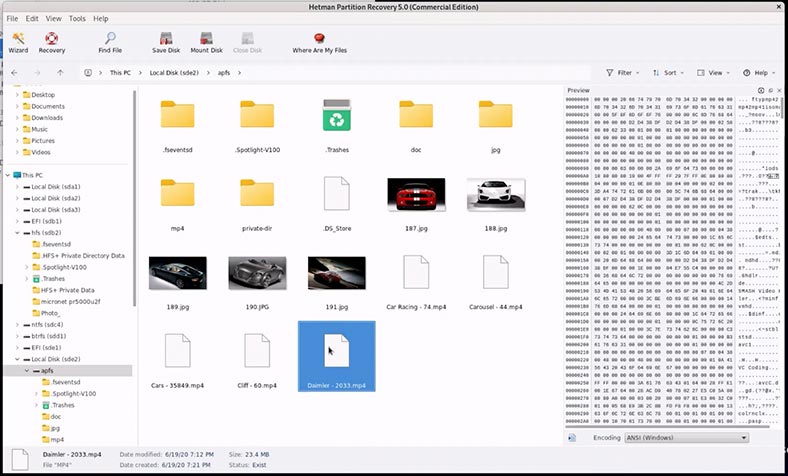 Hetman Partition Recovery: pliki wideo dysku apfs
