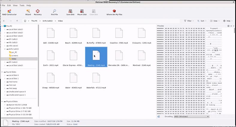 Hetman RAID Recovery: pliki wideo dysku btrfs
