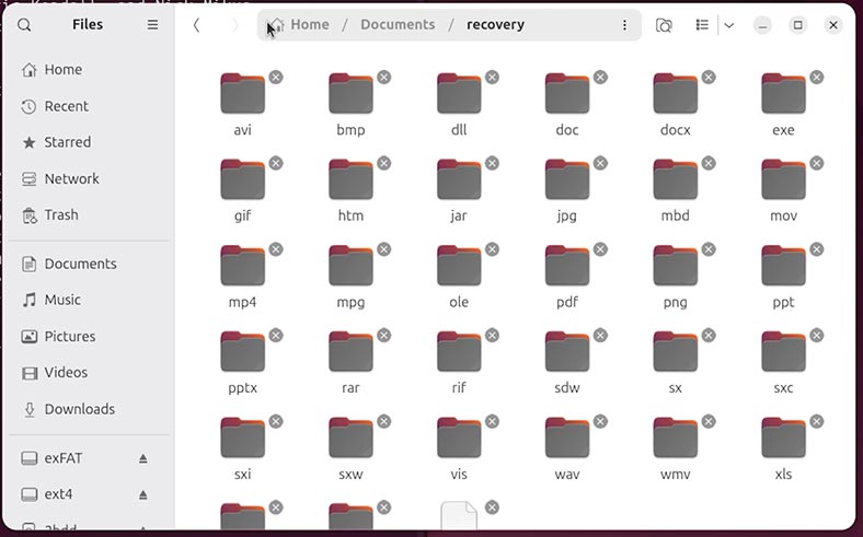 foremost: Resultado de los datos actualizados