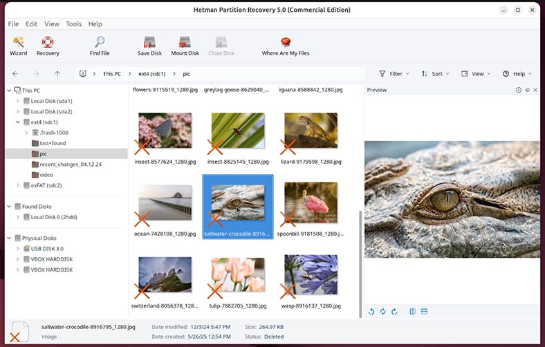 Hetman Partition Recovery: archivos y carpetas encontrados
