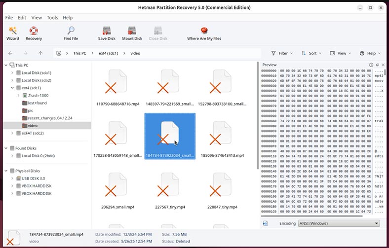 Hetman Partition Recovery: archivos de vídeo encontrados