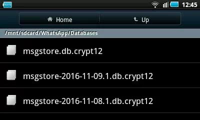 Chat settings backup db crypt1