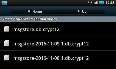 /sdcard/WhatsApp/Databases