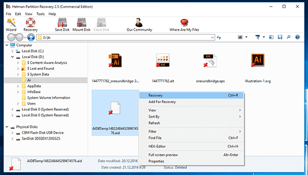 Hetman Partition Recovery. الإسترداد