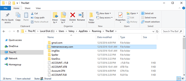 Every mail profile connected to The Bat mail client has its own folder