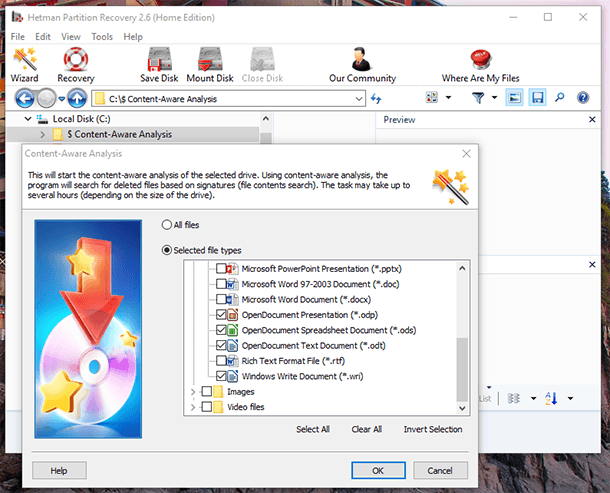 Hetman Partition Recovery. Selected file types