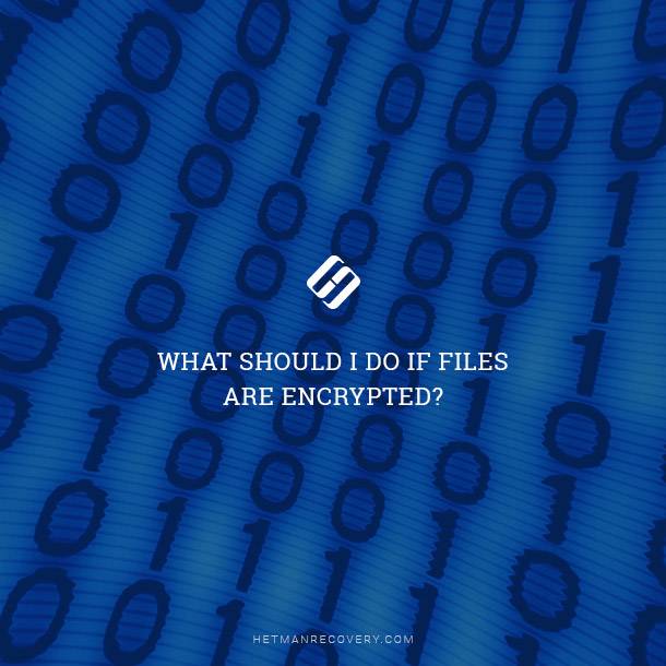 What to Do If Your Files Are Encrypted: Complete Guide