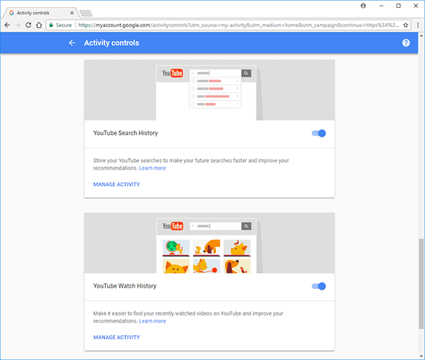 YouTube. “Activity controls” / “YouTube Search History” and “YouTube Watch History”.