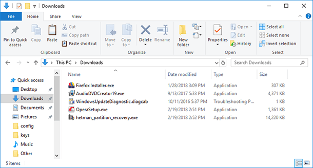 Downloads Folder