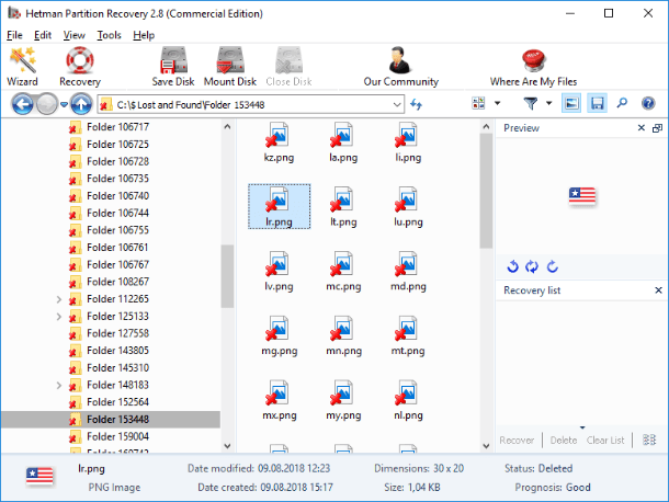 Hetman Partition Recovery. وظيفة المعاينة للملفات المستردة