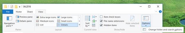 Folder and search options