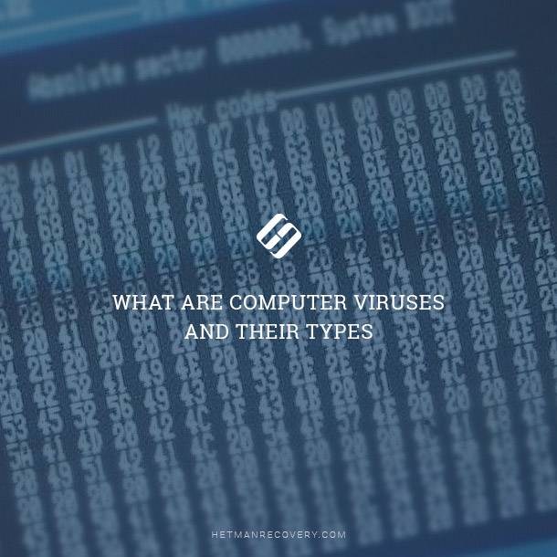 What are Computer Viruses and Their Types