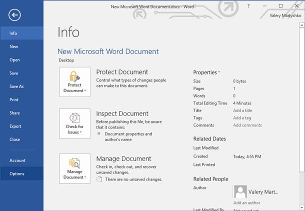 Microsoft Word document options