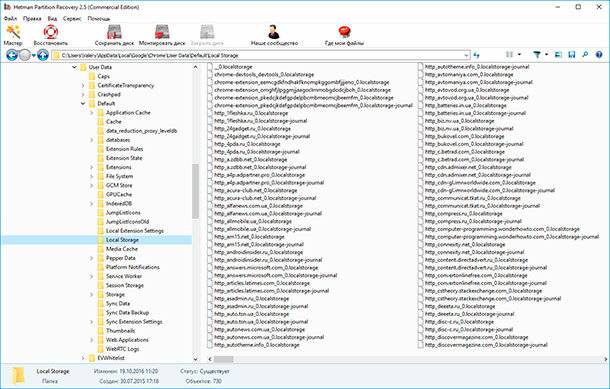 Hetman Partition Recovery. Обнаруженные файлы истории браузера