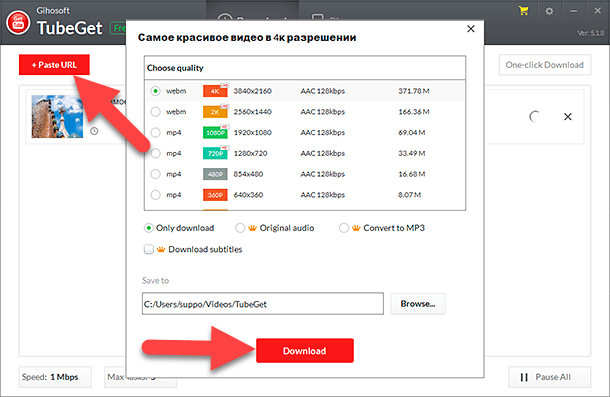 Gihosoft TubeGet. Скопируйте «URL-адрес» видеозаписи и нажмите кнопку «Paste URL»