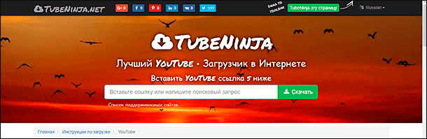 TubeNinja