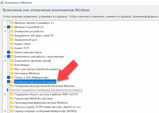 Платформа виртуальной машины Windows 11