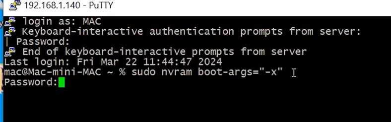 sudo nvram boot-args='-x'