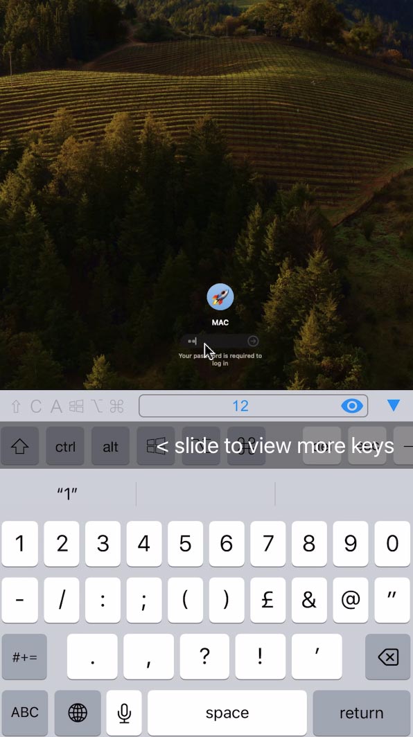 RealVNC Viewer: Remote Desktop - окно входа в систему на экране iPhone