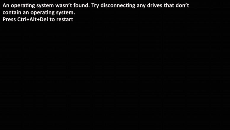 UEFI: An operating system wasn’t found