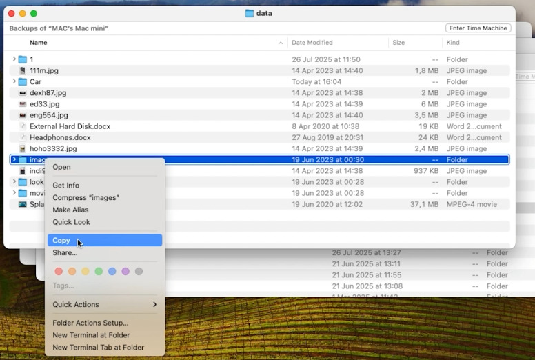 Contenuto della cartella Backups.sparsebundle